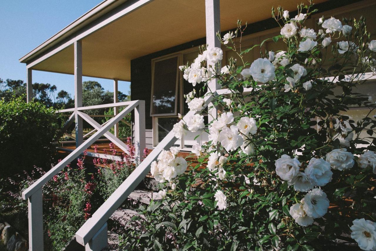 ヤナキー Olivi Bed & Breakfast エクステリア 写真
