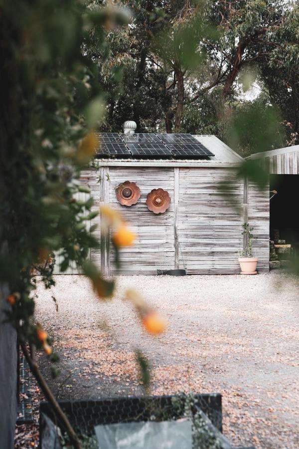 ヤナキー Olivi Bed & Breakfast エクステリア 写真